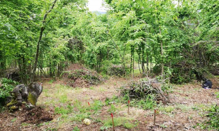 Deminerski timovi FUCZ-a na području Turbeta očistili 60.072 m2