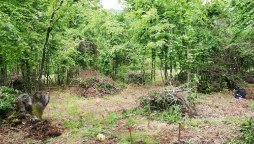 Deminerski timovi FUCZ-a na području Turbeta očistili 60.072 m2