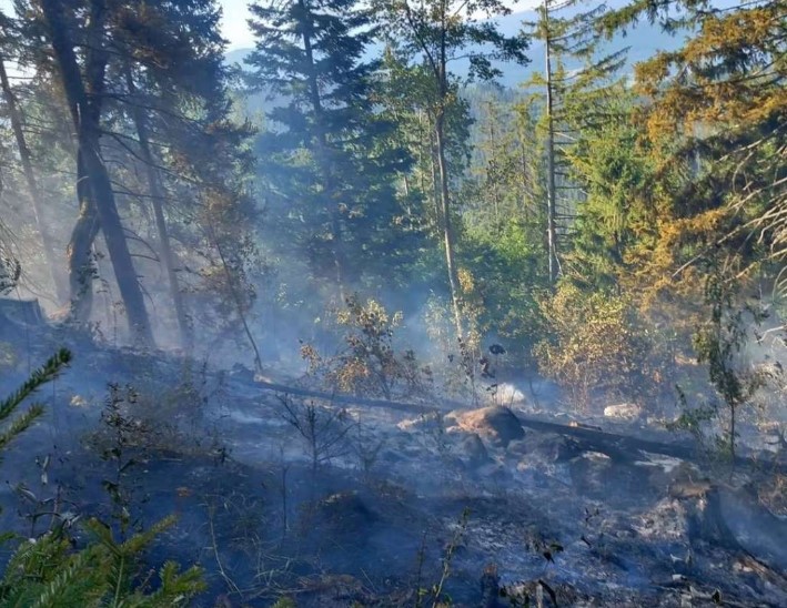 Desetine požara danima bukte Srbijom, vjetar dodatno prijeti širenju vatre