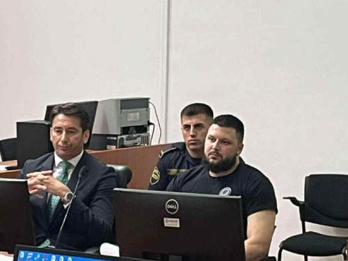 Detalji s ročišta vođi Pantera: Kako je djelovao Džinović!?