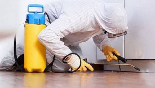 Dezinfekcija, dezinsekcija i deratizacija kao preventivne mjere