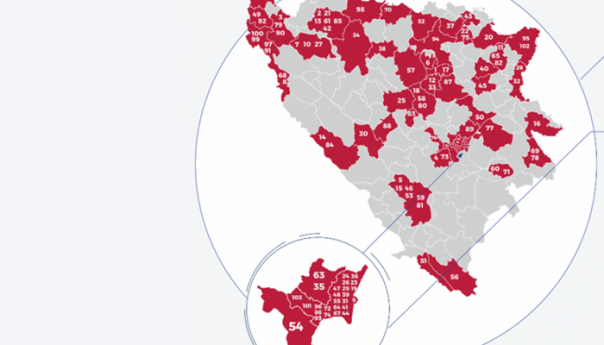 Dijasporske investicije nikad važnije za oporavak ekonomije