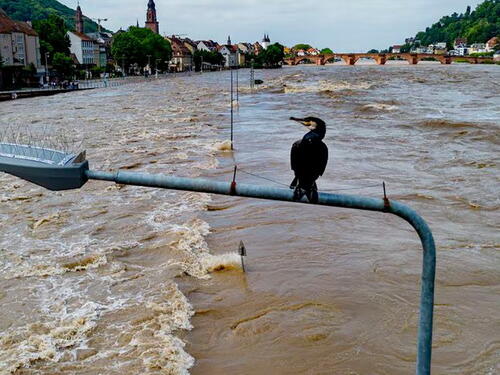 Dijelovi Rajne u Njemačkoj ostali zatvoreni za prevoz tereta
