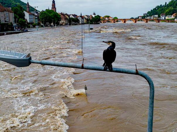 Dijelovi Rajne u Njemačkoj ostali zatvoreni za prevoz tereta