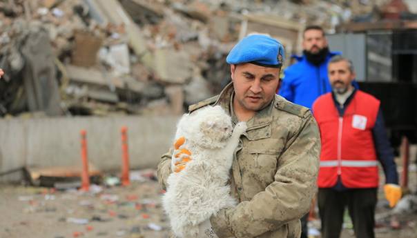 Dirljive fotografije mačke koja je spašena nakon potresa