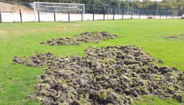 Divlje svinje uništile travnjak nekadašnjeg hrvatskog prvoligaša