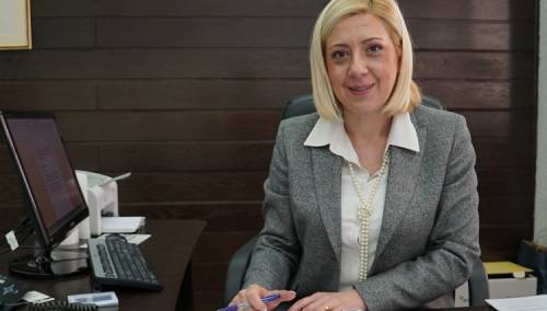 Đapo na video sastanku Komiteta PSVE za kulturu, nauku, obrazovanje i medije