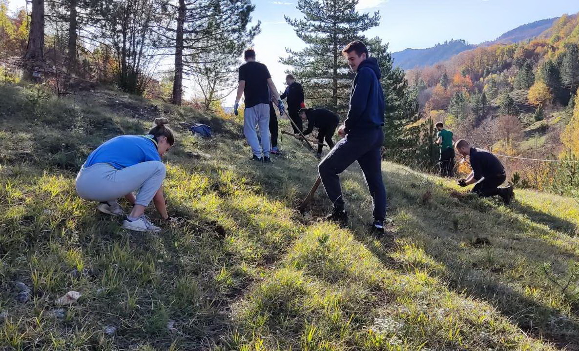 Djeca i mladi Konjica zasadili 1.500 borova na opožarenom području
