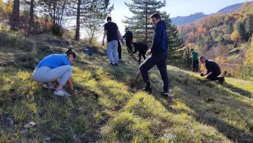 Djeca i mladi Konjica zasadili 1.500 borova na opožarenom području