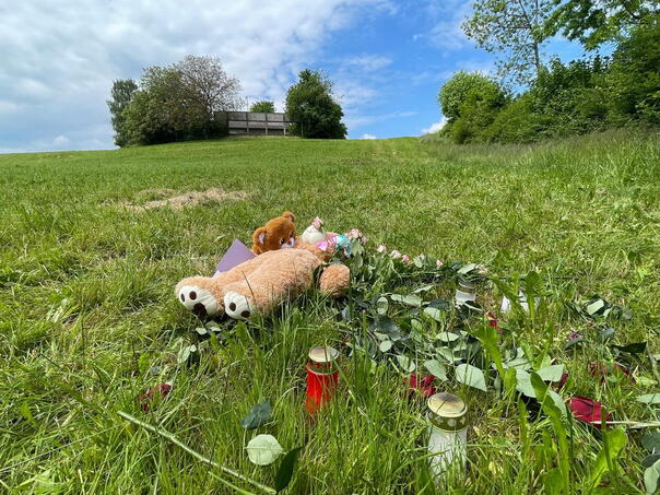 Švicarska: Djevojčica (15) pronađena izbodena u lokvi krvi, nije joj bilo spasa