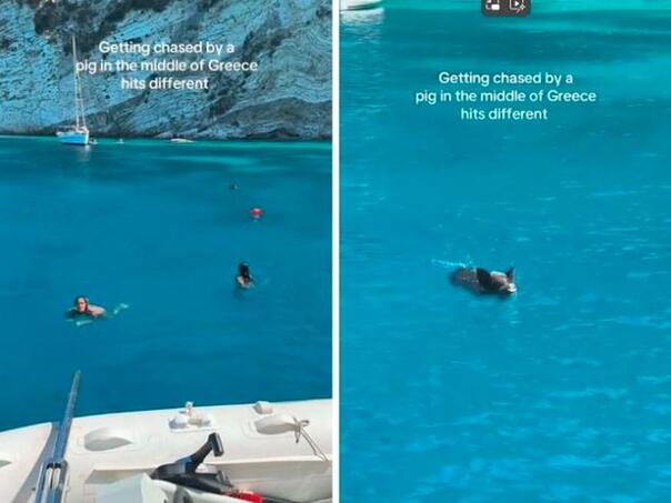 Djevojke uživale u moru, prema njima plivala životinja koju nisu očekivale: "Izađite van!"