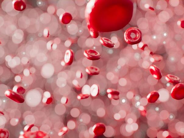 Đozo: Kad zajednica i građani djeluju zajedno moguće je osigurati stabilne zalihe krvi