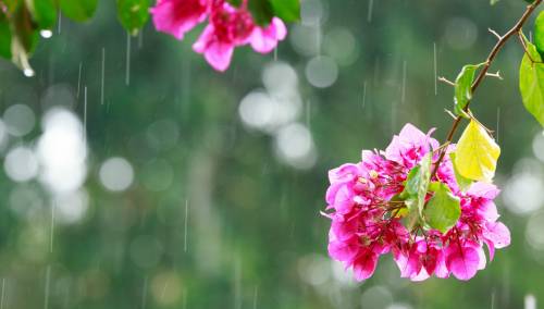 Do kraja sedmice nestabilno, umjereno do pretežno oblačno vrijeme s kišom