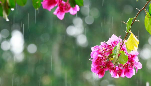 Do kraja sedmice nestabilno, umjereno do pretežno oblačno vrijeme s kišom