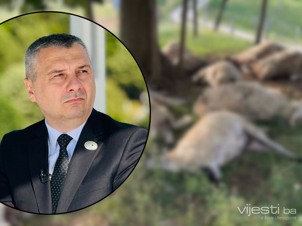 Dobre vijesti za povratnike u Zvorniku kojima je grom usmrtio stado