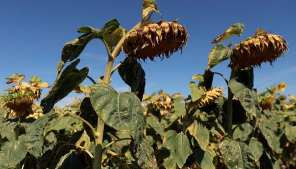 Dolaze nam neviđeni toplotni valovi