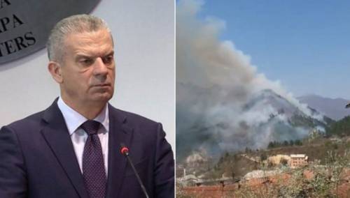 Donesena odluka o traženju međunarodne pomoći u gašenju požara