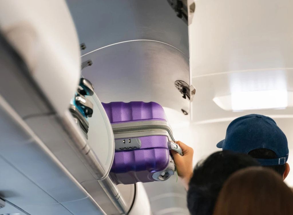 Drama u avionu: Zmija izašla iz ručnog prtljaga