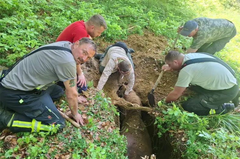 Drama u Hrvatskoj: Kobila i vlasnik upali u jamu