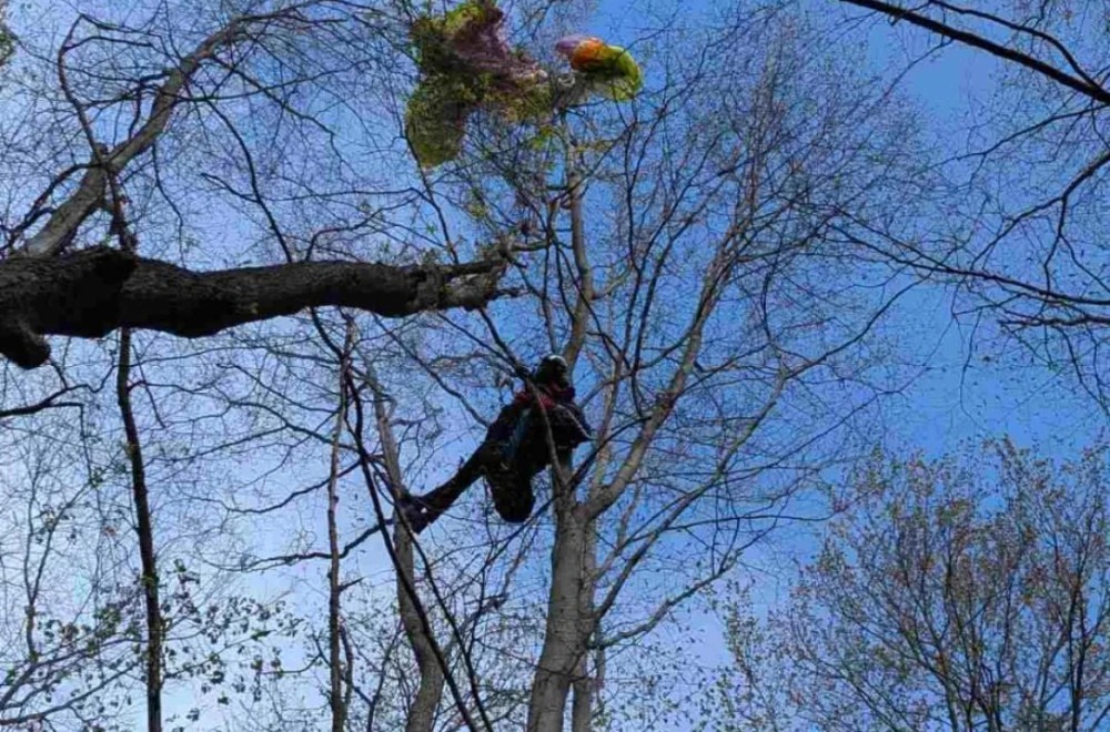 Dramatična akcija spašavanja u Srbiji, paraglider završio na drvetu