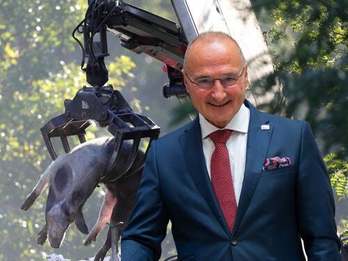 Država plaća milione: Firma ministra Grlić Radmana spaljuje 11.600 svinja