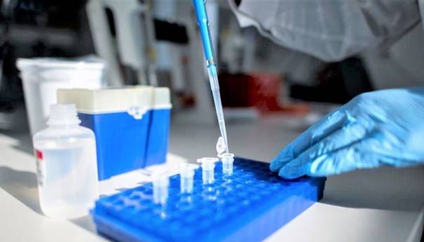 Državljanima Turske nije dozvoljen ulazak u BiH zbog falsificiranja PCR testa 
