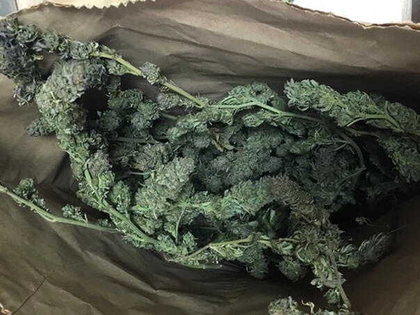 Državljanin BiH 'pao' na granici sa Hrvatskom sa većom količinom marihuane