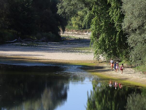Dugotrajna suša oborila vodostaje u BiH, ali nema rekordno niskih nivoa