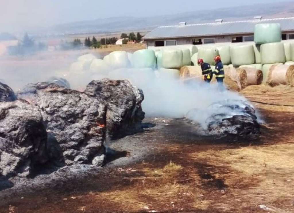 Duvanjski vatrogasci spasili farmu krava od požara