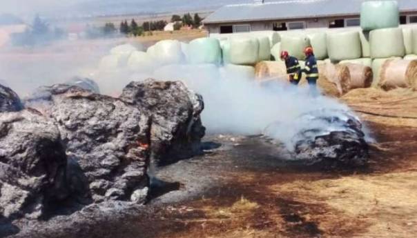 Duvanjski vatrogasci spasili farmu krava od požara