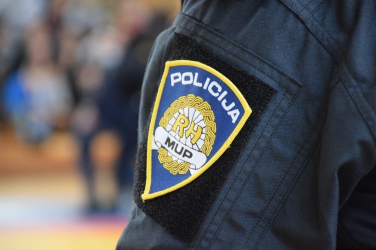 Dva pješaka poginula kod Novske pretrčavajući cestu