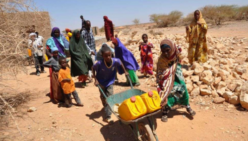 Dvadeset miliona ljudi u riziku od gladi dok se suša pogoršava na Rogu Afrike