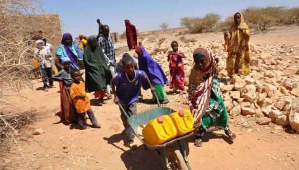 Dvadeset miliona ljudi u riziku od gladi dok se suša pogoršava na Rogu Afrike