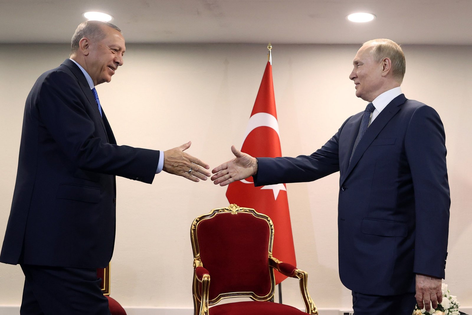 Dvije svjetski važne teme: Erdogan i Putin u Sočiju 