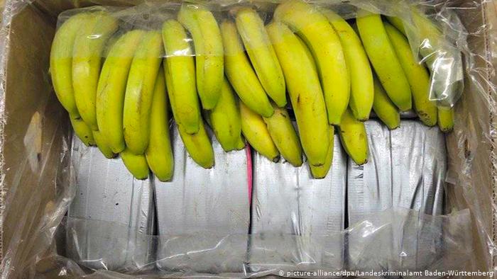 Dvije tone kokaina pronađene među bananama