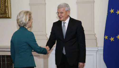 Džaferović: BiH je dio energetske politike EU, očekujemo da svi glasaju za kandidatski status