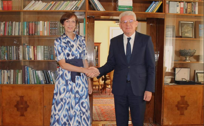 Džaferović s ambasadoricom Njemačke o  nametanju odluke