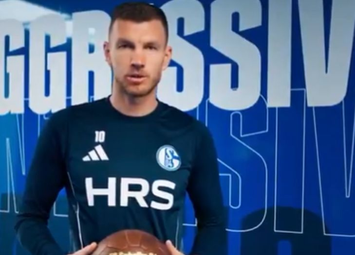 Džeko i ljiljani: Schalke predstavio novo pojačanje iz Dinama