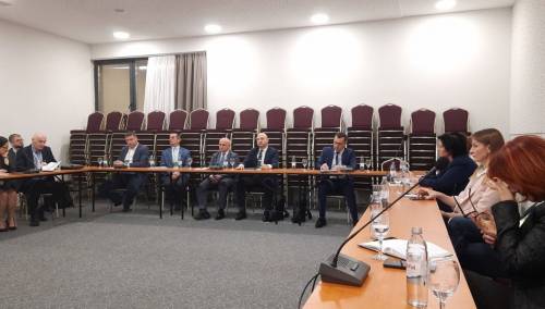 Džindić: Energetsku krizu rješavati sistemskim mjerama