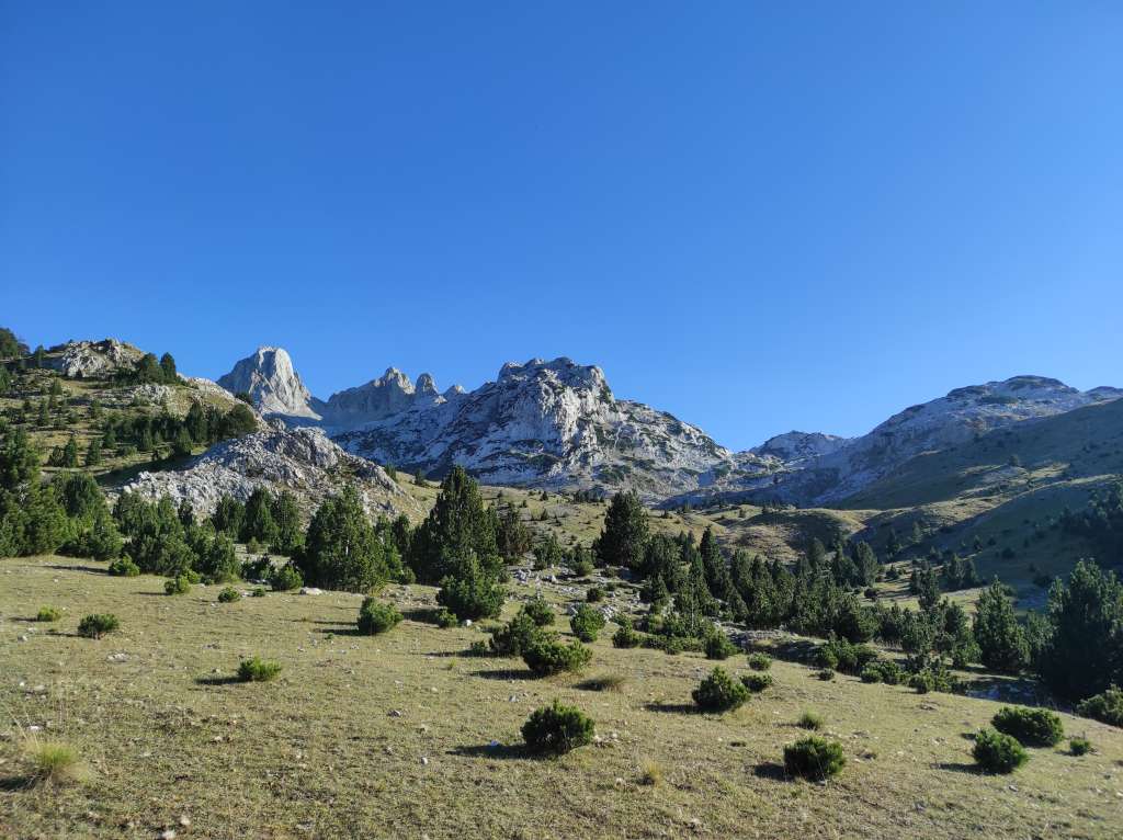 Ekološke organizacije pokrenule peticiju protiv "slabljenja" zakona EU