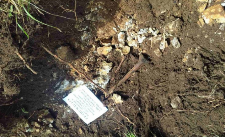 Ekshumacija na lokalitetu Buk Bijela - Nisu pronađeni posmrtni ostaci ljudskog porijekla