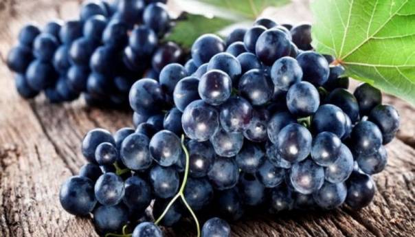 Ekstrakt crnog grožđa - čudotvorni lijek