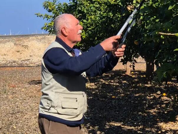 Ekstremne suše na Kipru: Ugroženi poljoprivrednici