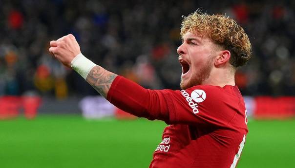 Elliott presudio Wolvesima na Molineuxu