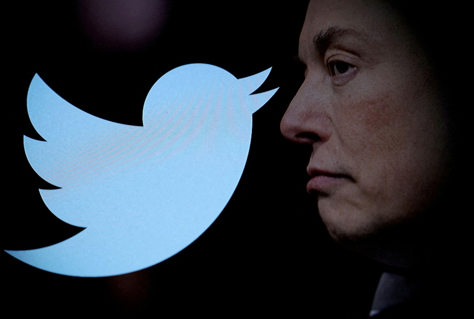 Elon Musk: Twitter mijenja logo, zbogom ‘svim pticama’