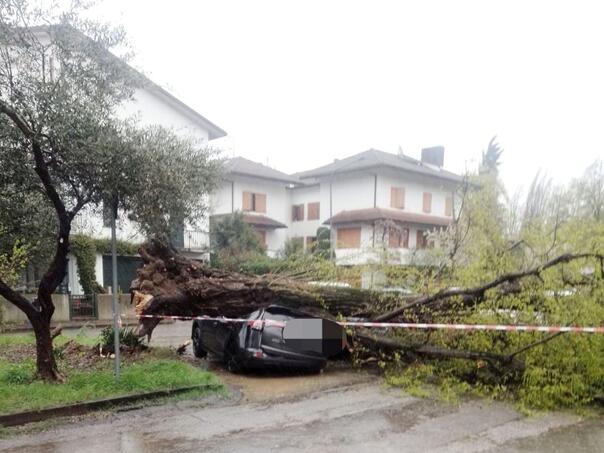 Emilia-Romagna pogođena vjetrovima, vatrogasci odgovorili na više od 100 poziva