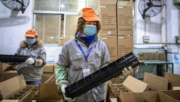 Epidemija koronavirusa ima pozitivan učinak na okoliš