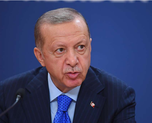 Erdogan pozvao međunarodnu zajednicu da podrži inicijative za prekid vatre u Gazi