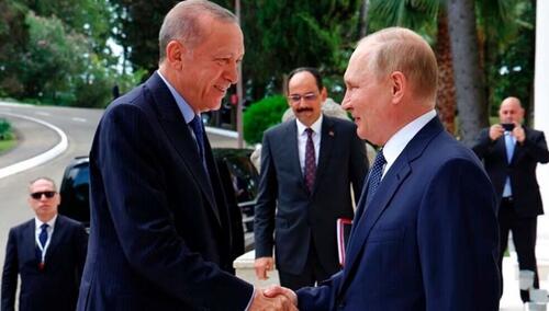 Erdogan se nada obnovi crnomorske žitne inicijative