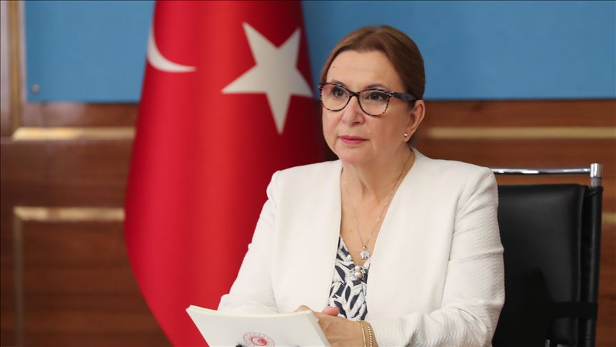 Erdogan smijenio ministricu koja je ugovore dodjeljivala suprugovim firmama